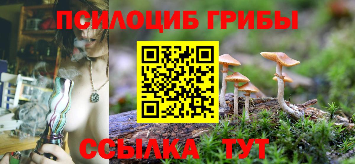 Галлюциногенные грибы мицелий Бугуруслан
