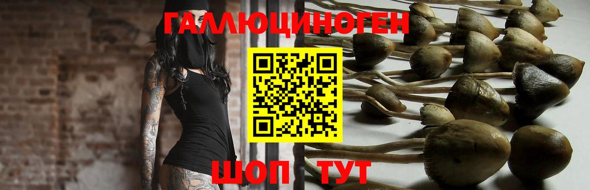 МЕФ  ЭКСТАЗИ  LSD-25  МЕФ кристаллы  Марихуана  Бугуруслан  COCAIN  Вход с VPN 